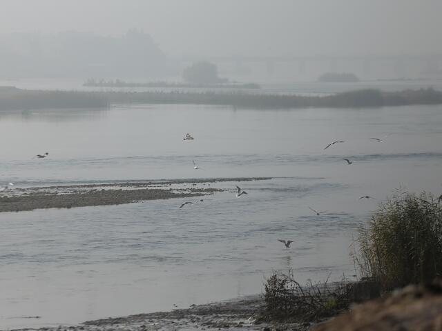 A view of the Euphrates River in northeastern Syria, where Salem fishes. 